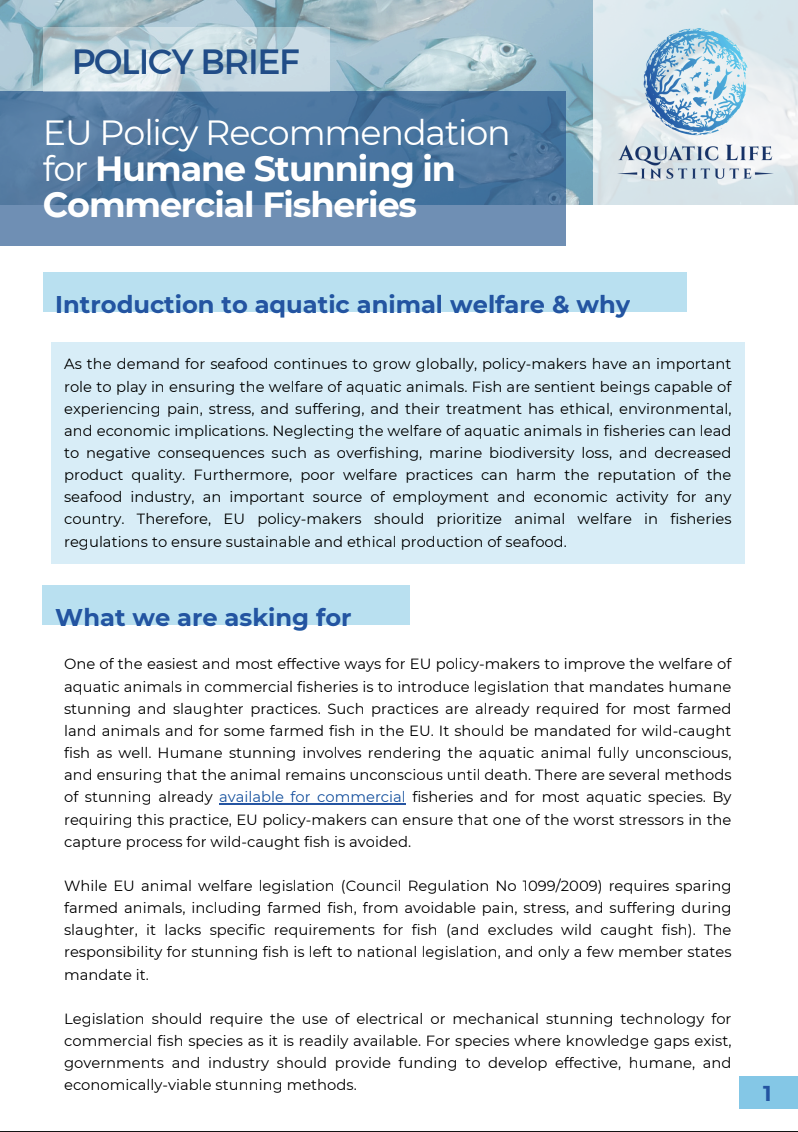 EU Policy Recomm﻿endation for Humane Stunning in Commercial Fisheries