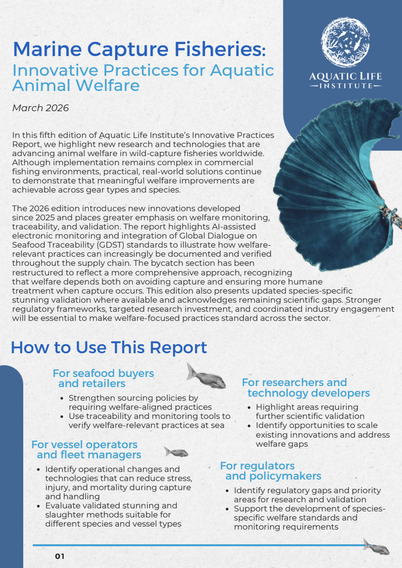 Marine Capture Fisheries: Innovative Practices ﻿for Aquatic Animal Welfare (5th Edition)