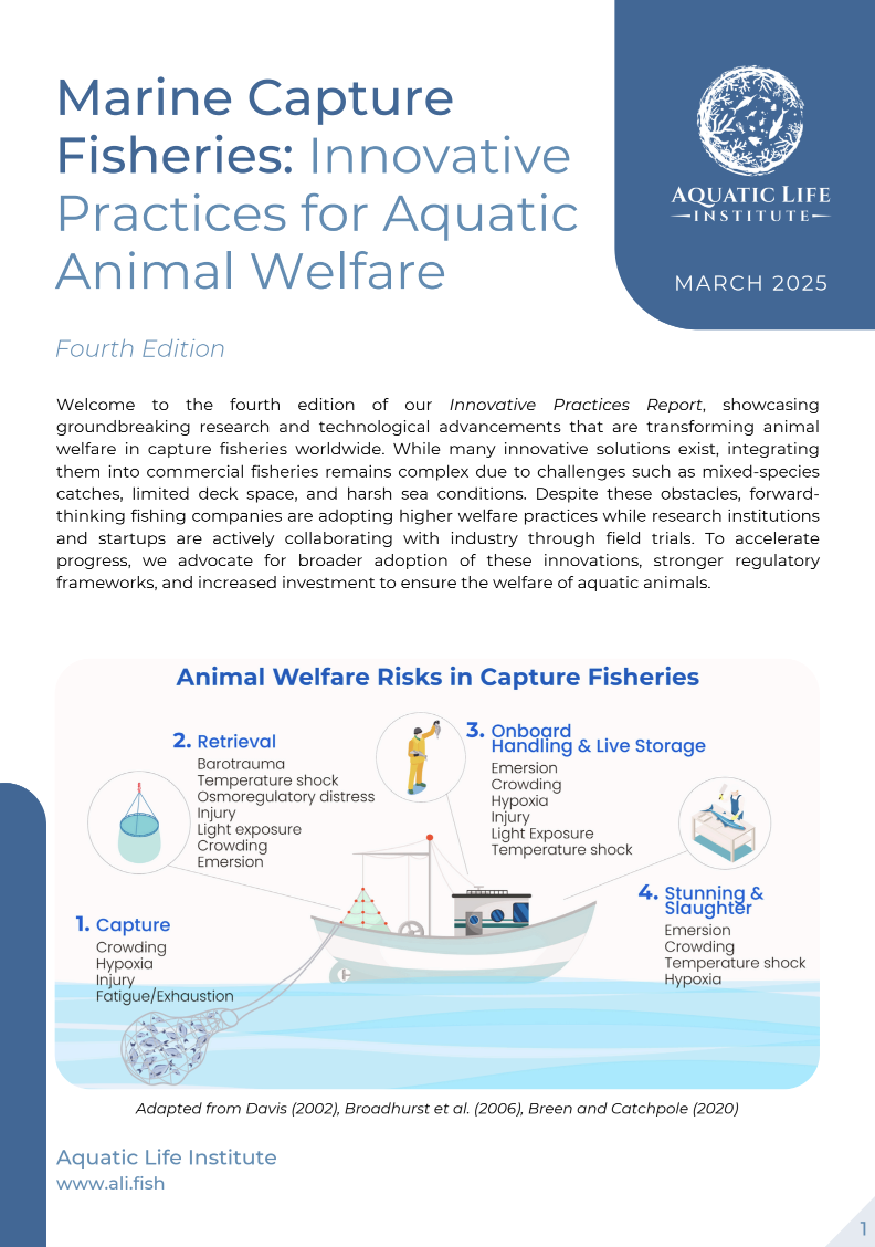 Marine Capture Fisheries: Innovative Practices ﻿for Aquatic Animal Welfare (4th Edition)