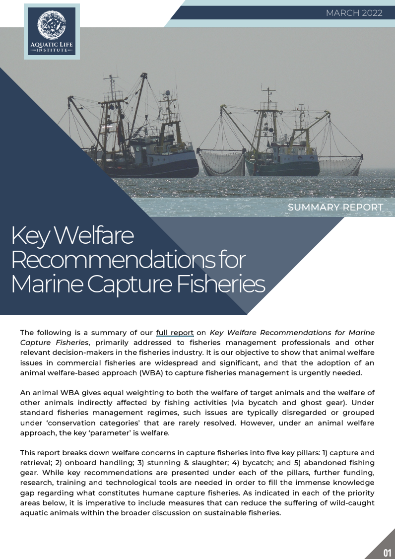Key Welfare Recommendations for Marine Capture Fisheries
