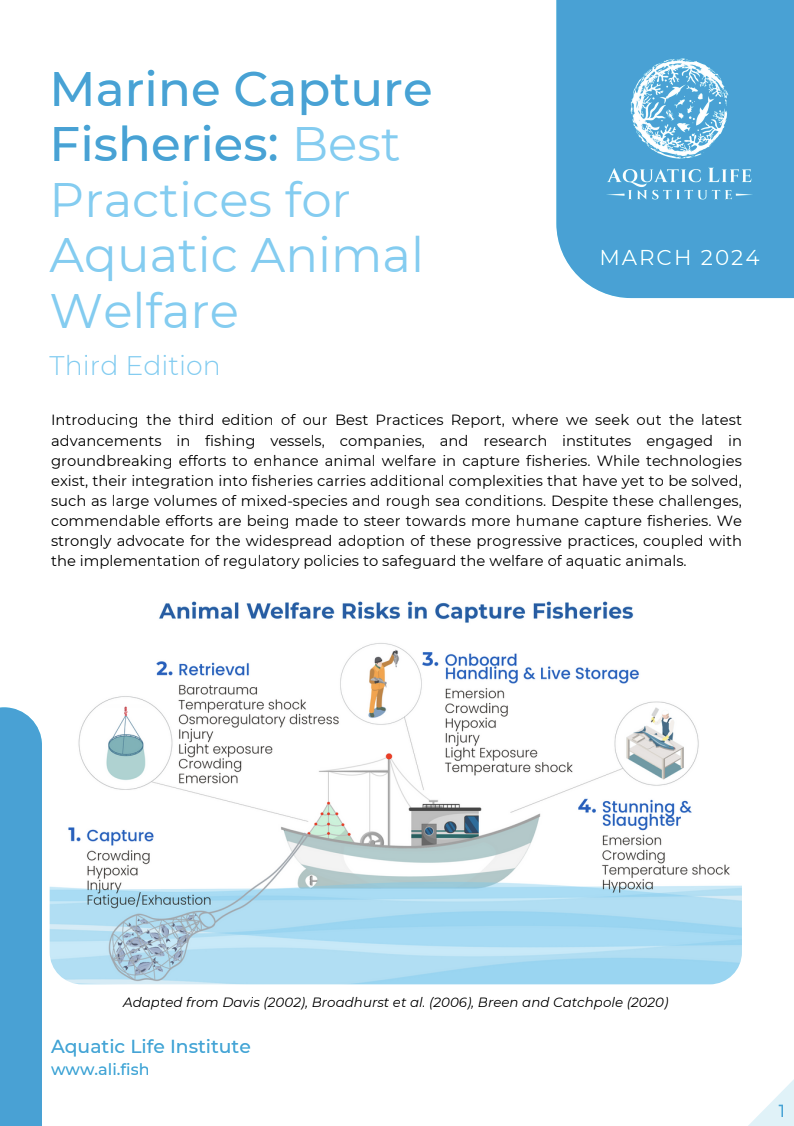 Marine Capture Fisheries: Best Practices ﻿for Aquatic Animal Welfare (3rd Edition)