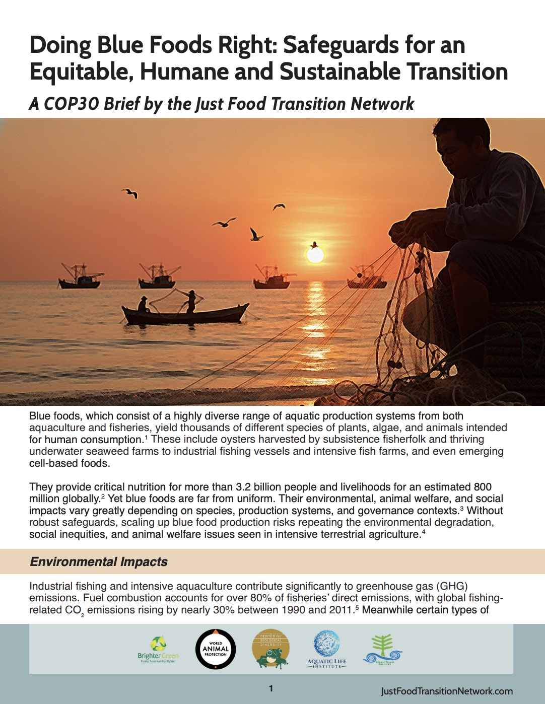 Doing Blue Foods Right: Safeguards for an Equitable, Humane, and Sustainable Transition