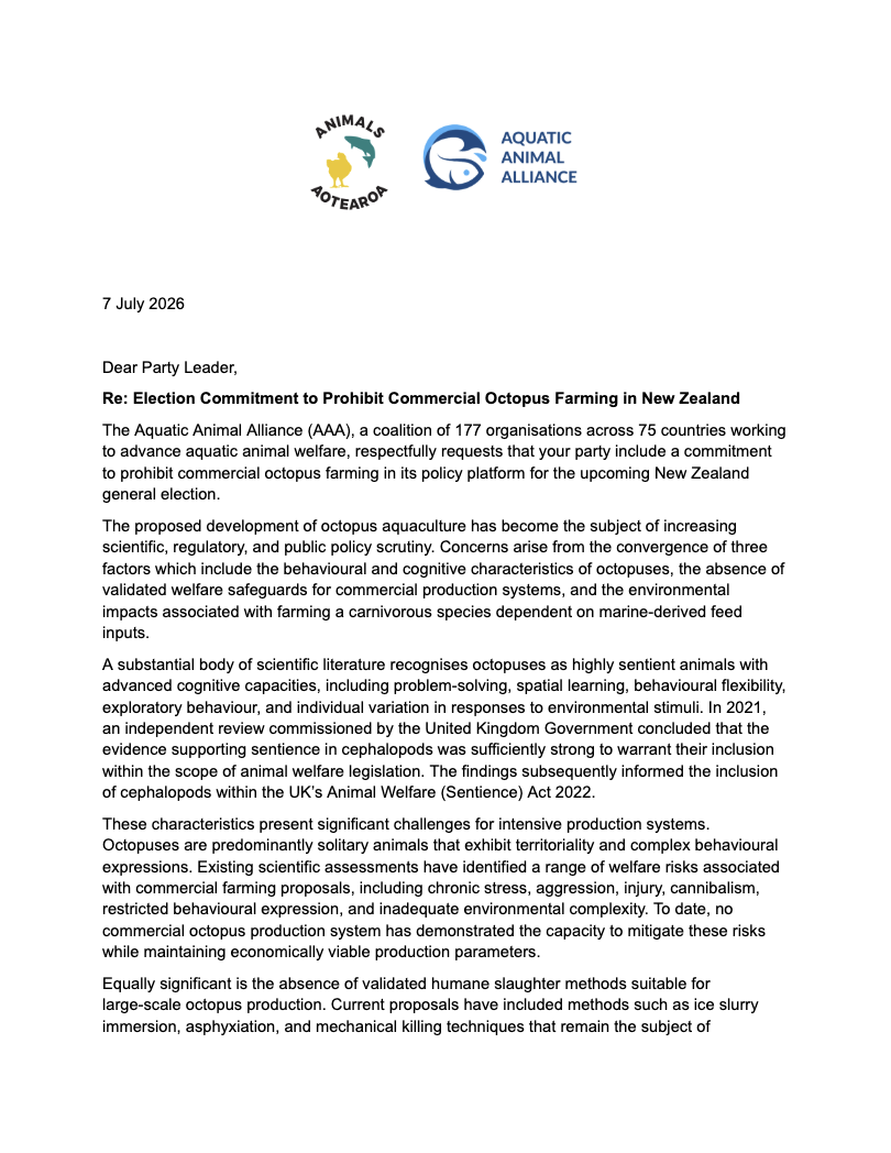 Animals Aotearoa, Aquatic Animal Alliance ask New Zealand political parties to prohibit commercial octopus farming