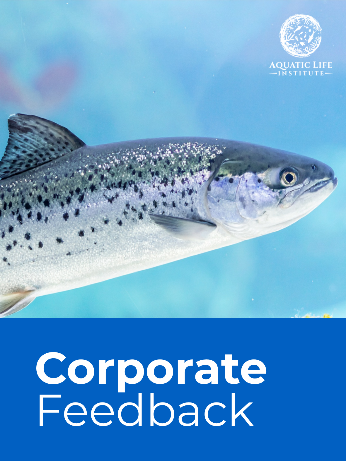 Corporate feedback