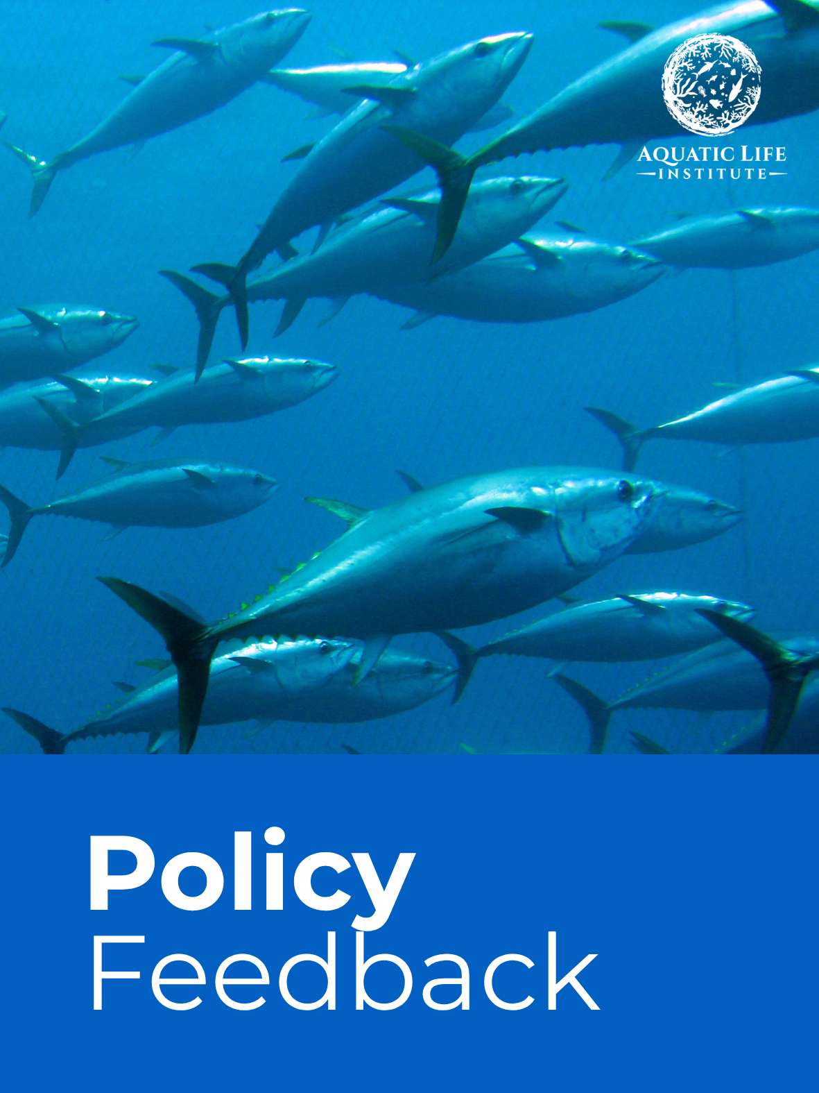 Policy feedback