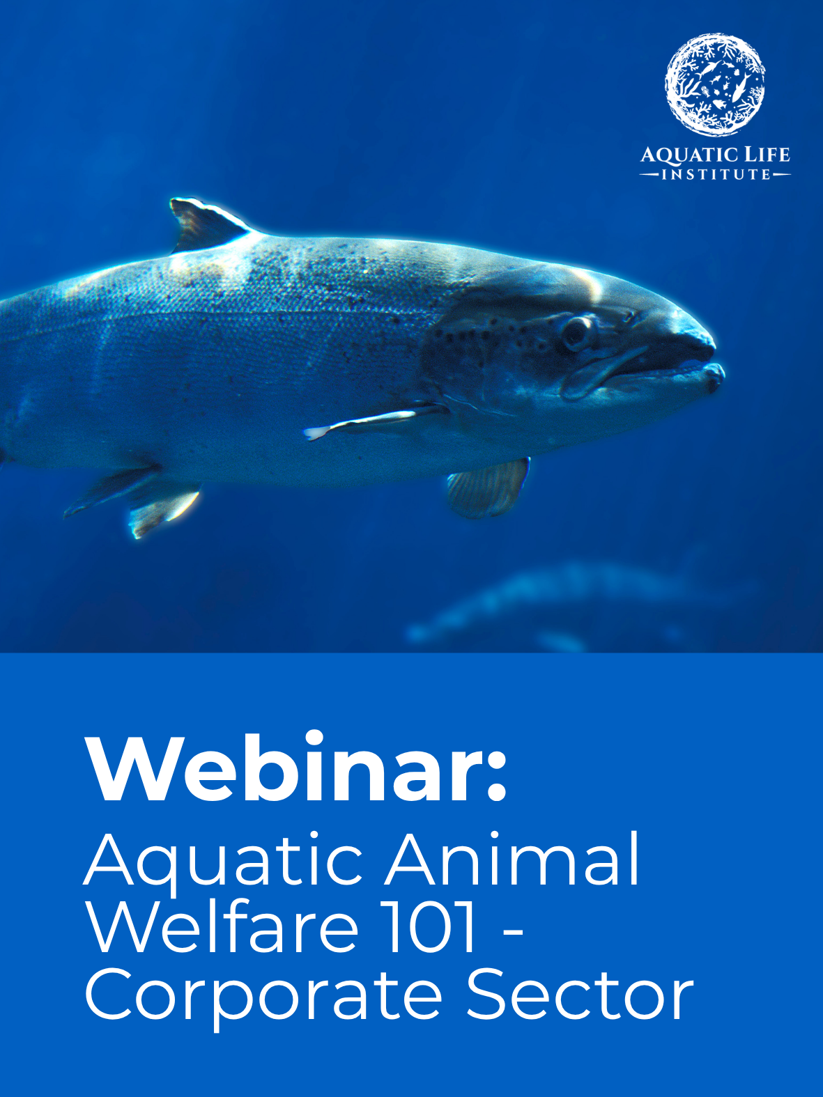 Webinar: Aquatic Animal Welfare 101: Corporate Sector