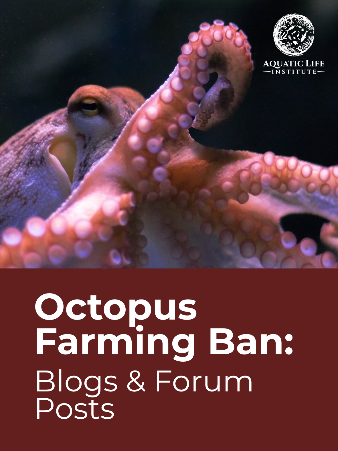 Octopus Farming Ban: Forum Posts and Blogs