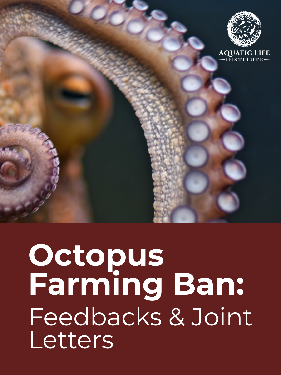 Octopus Farming Ban: Feedbacks &amp; Joint Letters