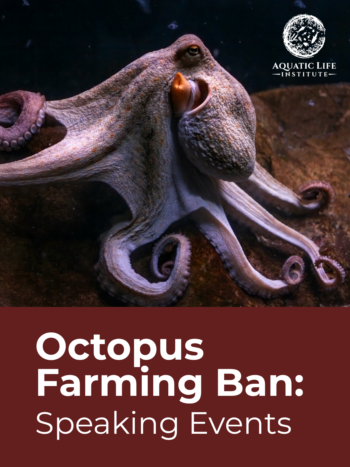 Octopus Farming Ban: Speaking Events