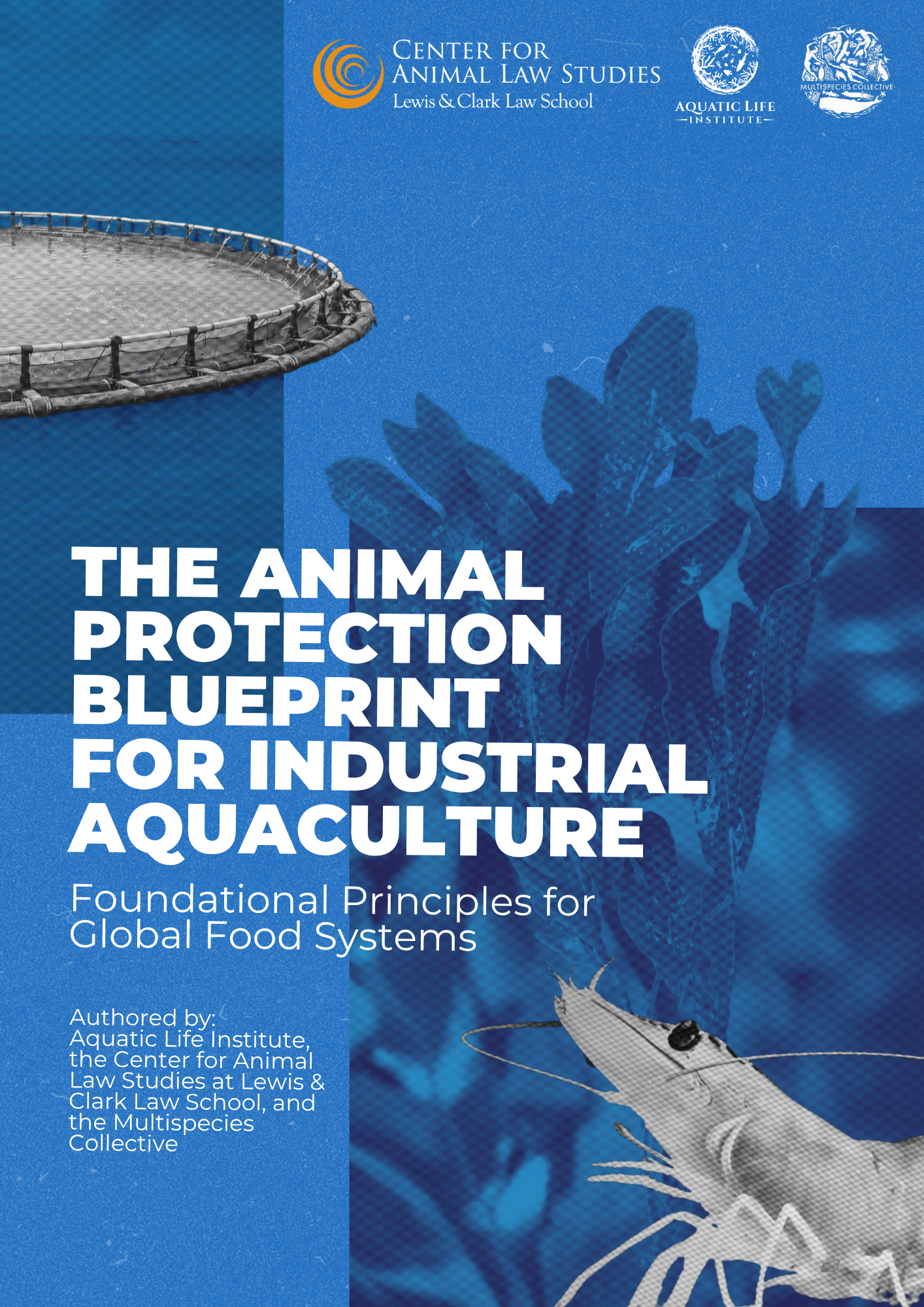 The Animal Protection Blueprint for Industrial Aquaculture