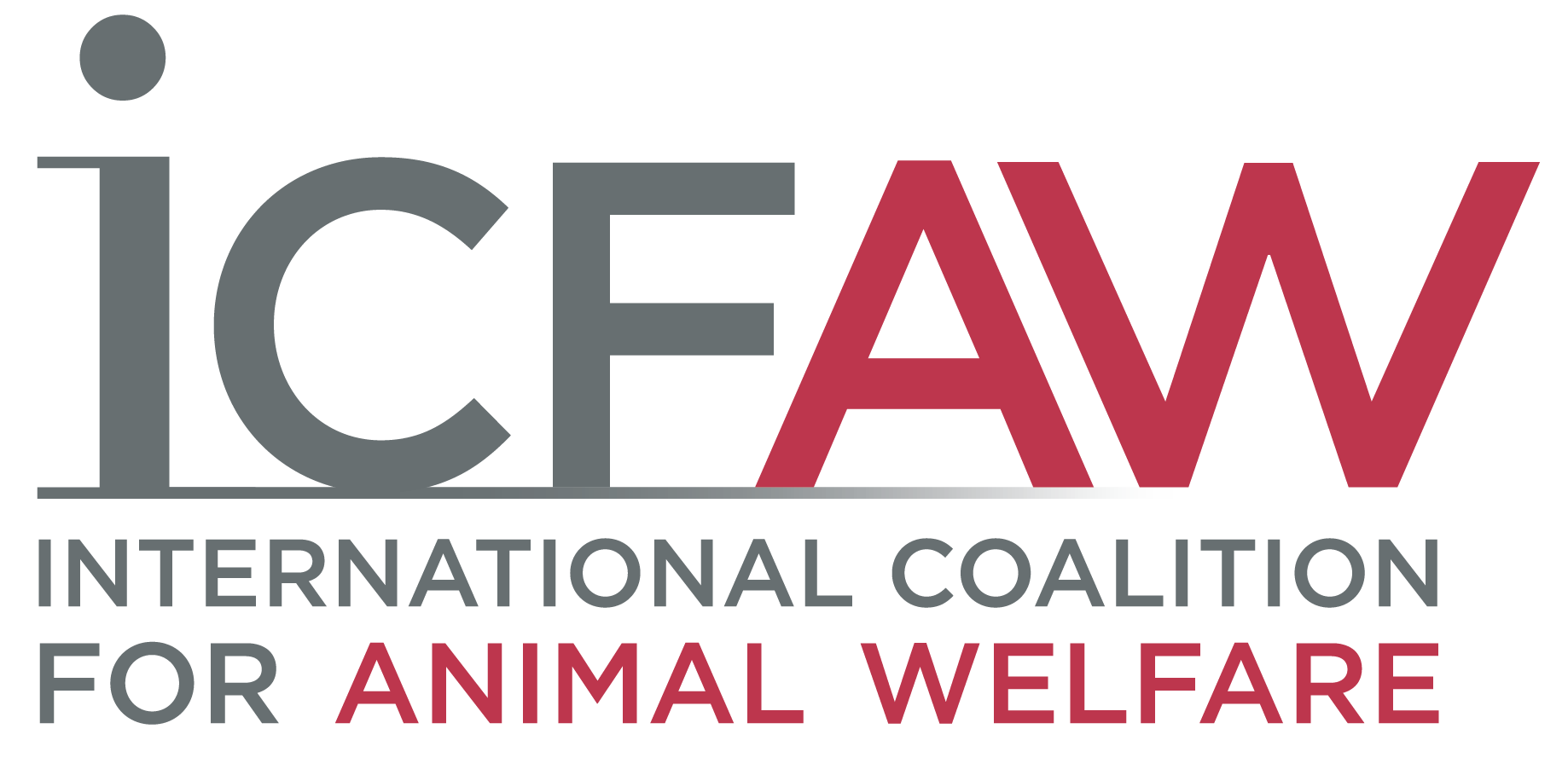 Logo for ICF AW International Coalition for Animal Welfare, with the text 'ICFAW' in large gray and red letters, and 'International Coalition for Animal Welfare' underneath.