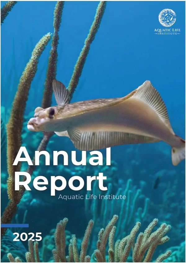 2025 Annual Report