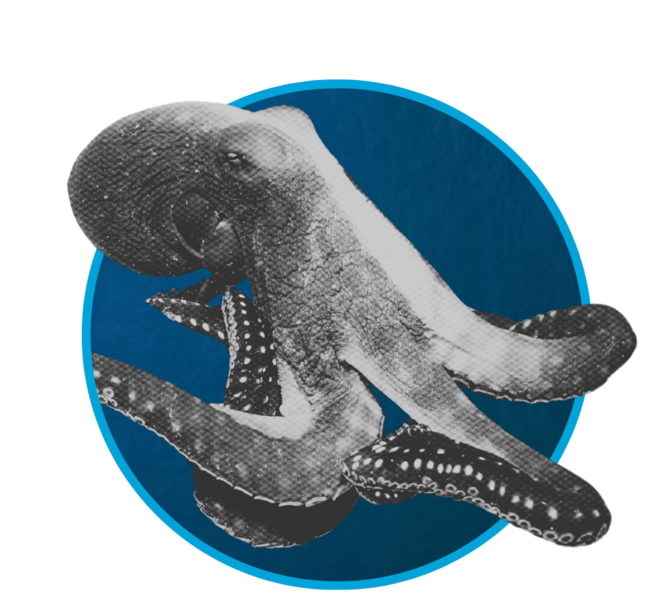 Black and white illustration of an octopus with a large round head and tentacles, set against a dark background with a blue circle framing the octopus.