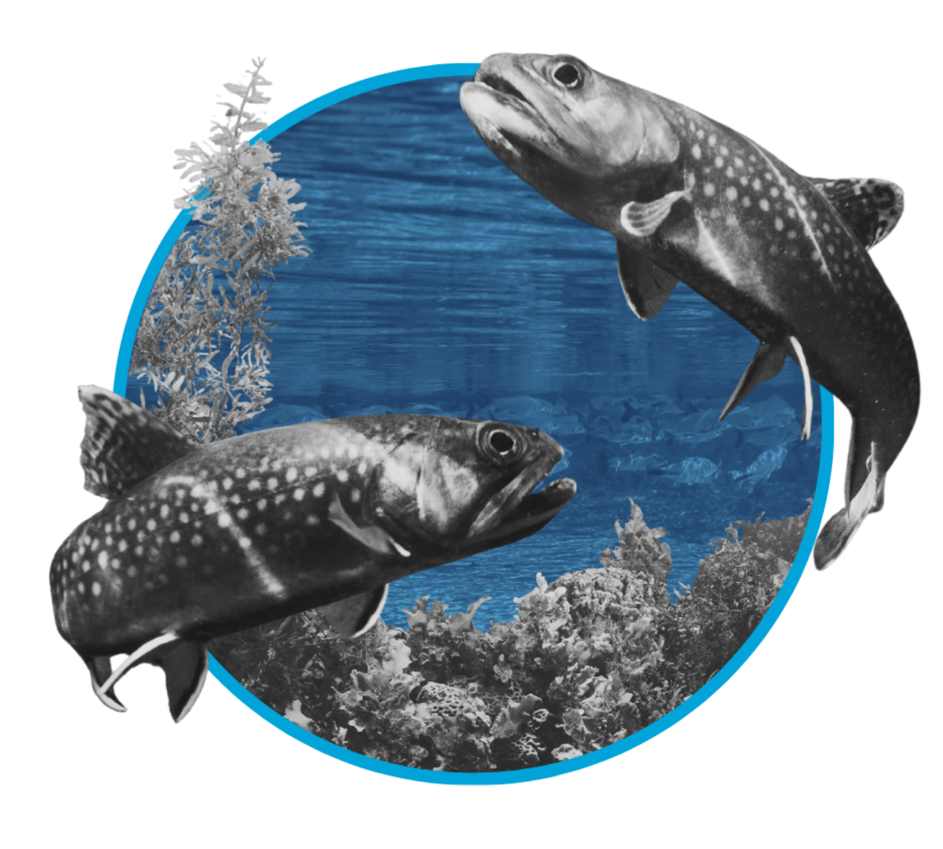 Digital collage of two fish swimming in an underwater scene with coral and water background, stylized with a circular border.