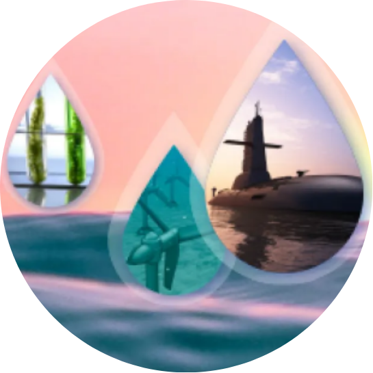 Aquatic Animal Alliance logo