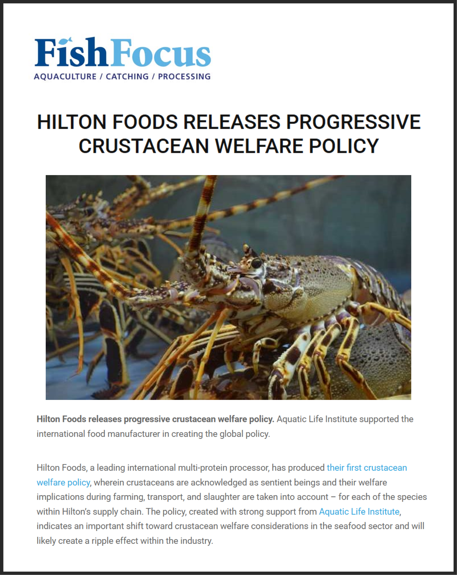 FishFocus: Hilton Foods Releases Progressive Crustacean Welfare Policy