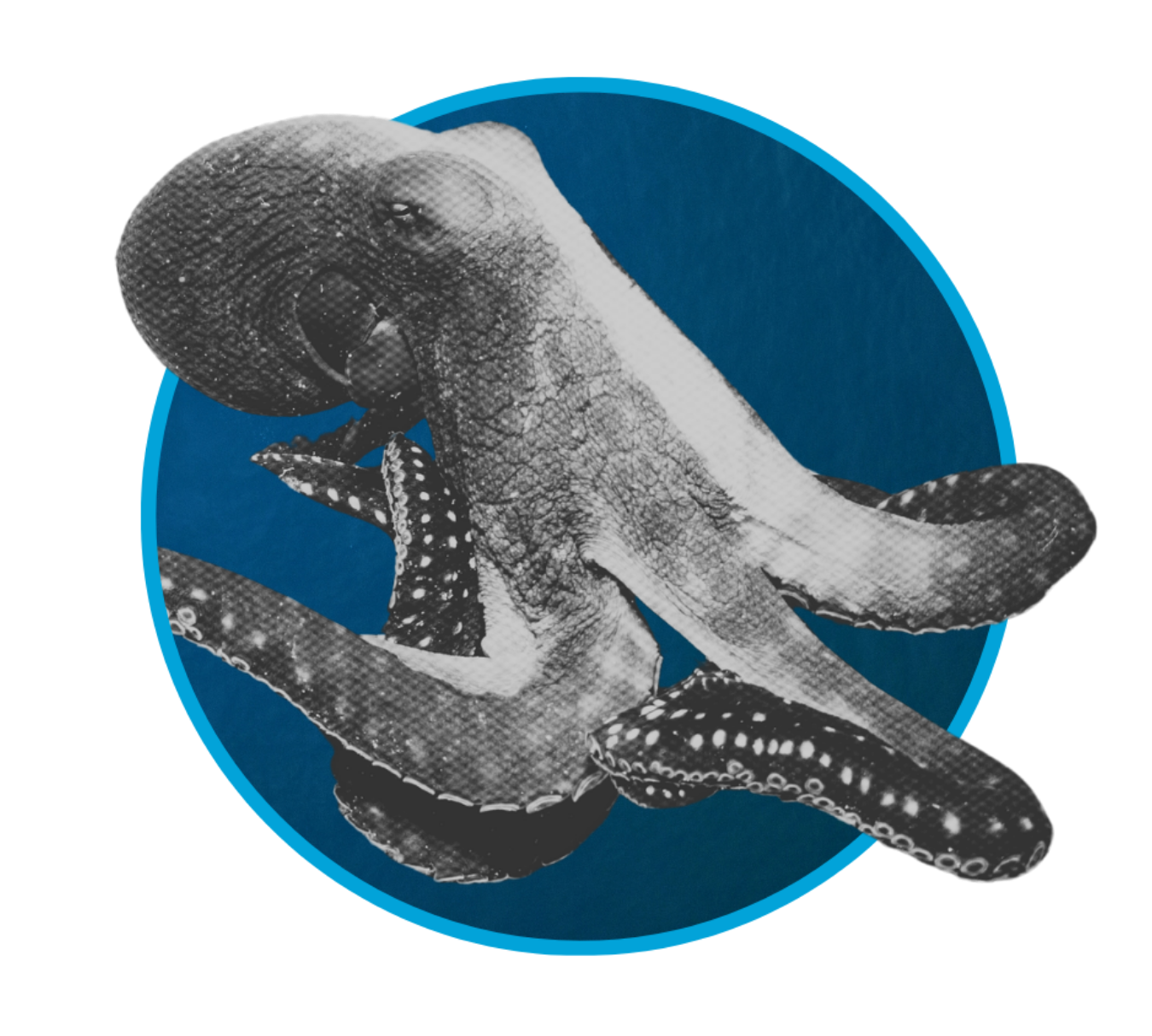 Black and white image of an iguana being held by a person's hand, set against a blue circular background.