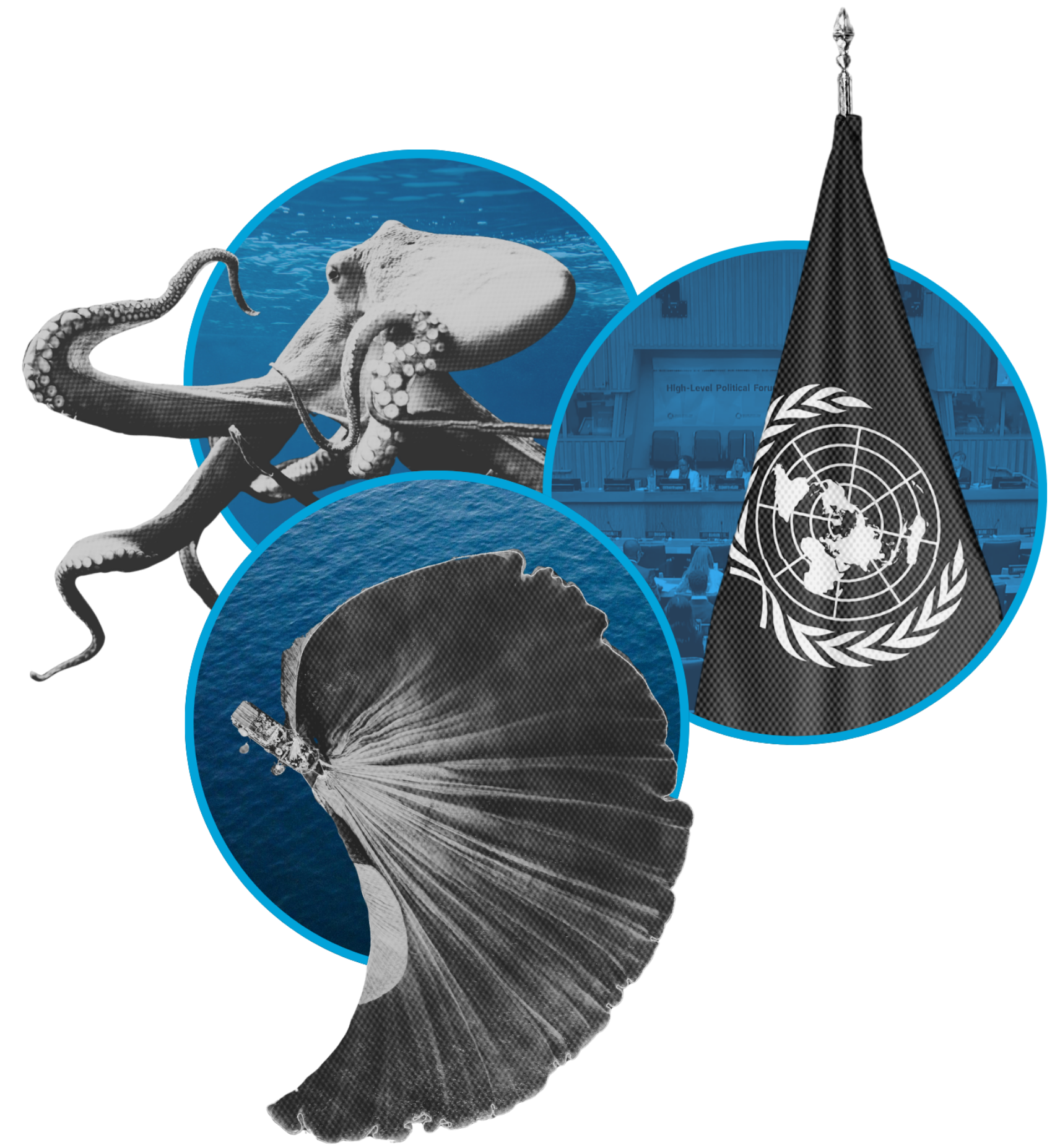 A collage of images featuring an octopus, a whale's tail, a butterfly, a megaphone with the United Nations emblem, and a conference room with people and a banner reading 'High-Level Political Forum'.