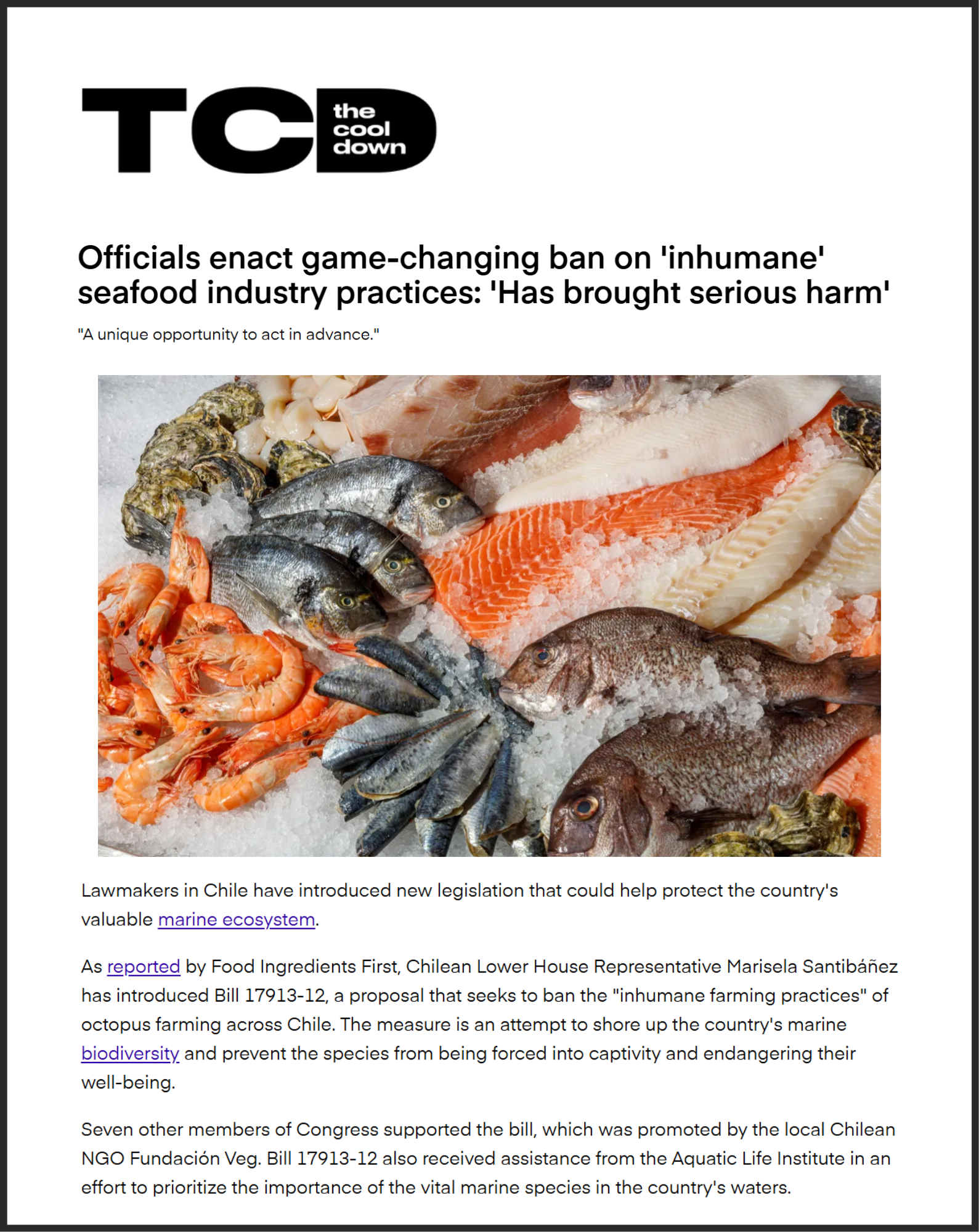 The Cool Down: Officials enact game-changing ban on 'inhumane' seafood industry practices: 'Has brought serious harm'