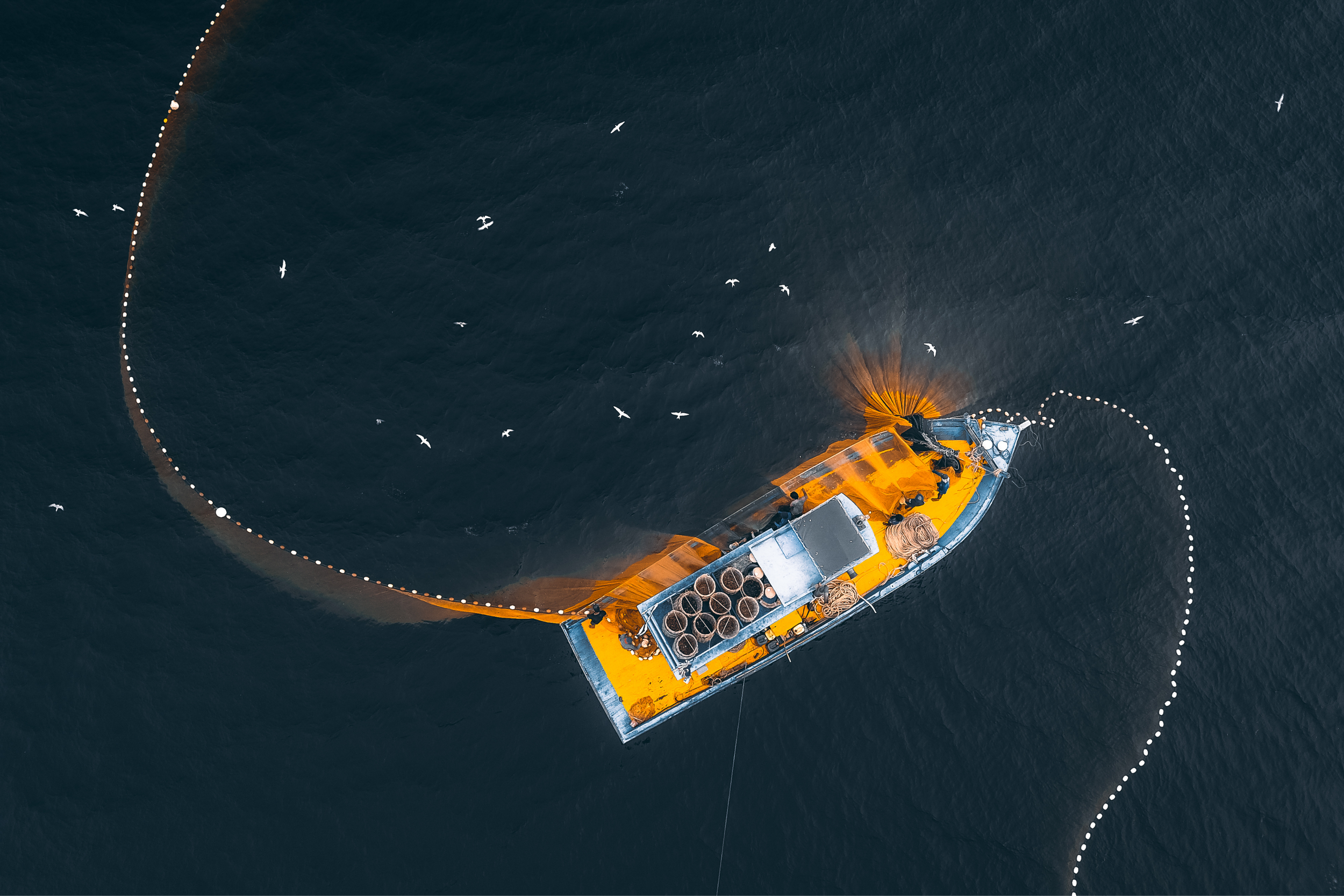 An aerial view of a yellow fishing boat in the ocean with a net extended into the water, catching fish, and seabirds flying around.