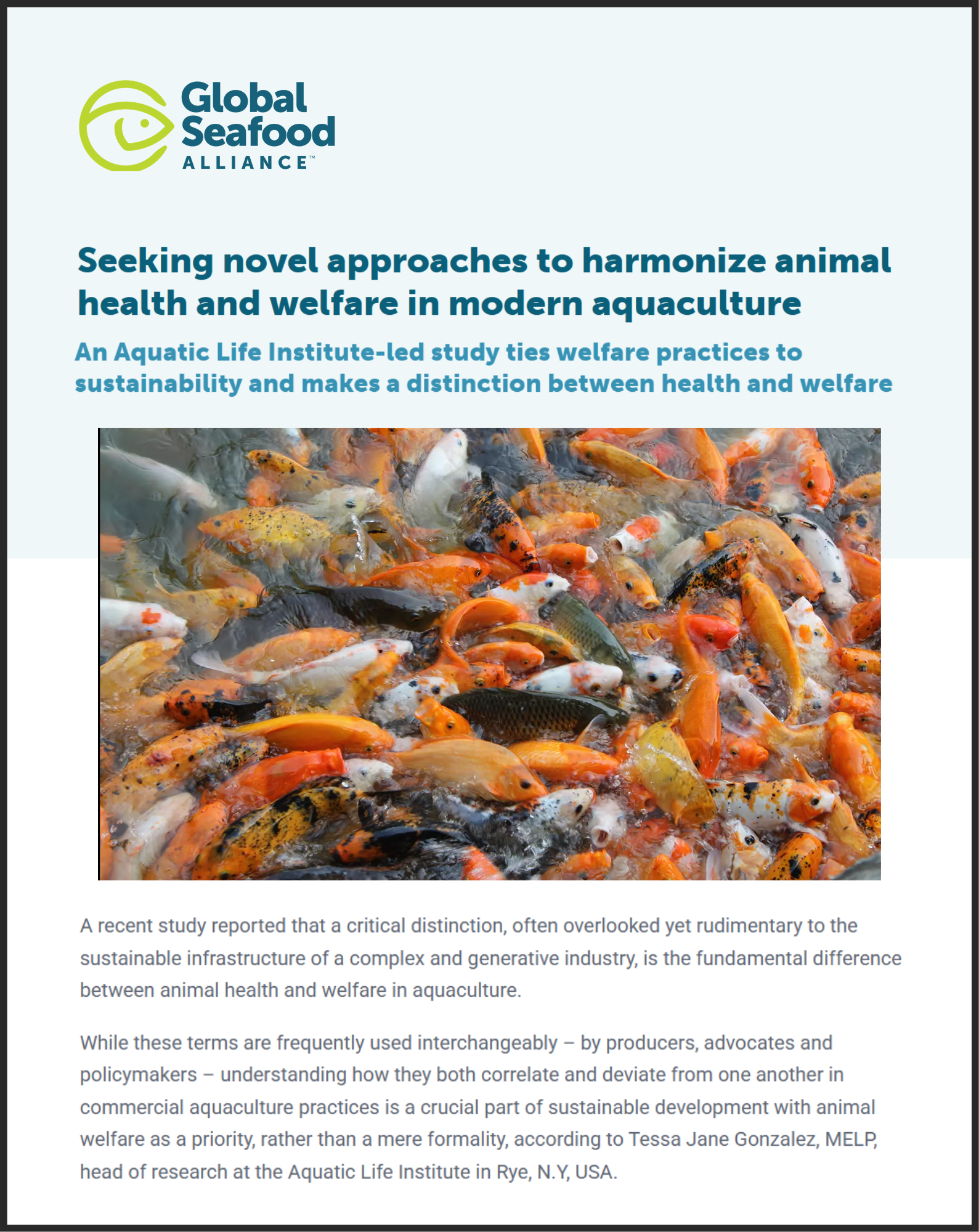 Global Seafood Alliance: Seeking novel approaches to harmonize animal health and welfare in modern aquaculture