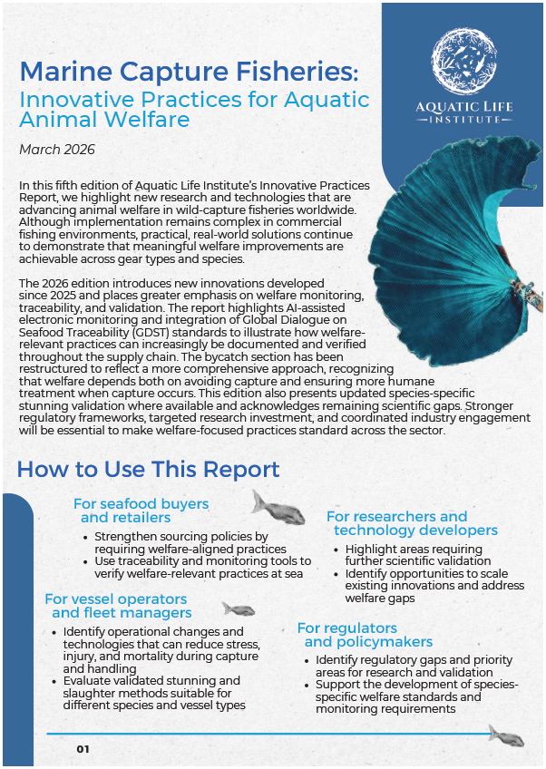 Cover page of the report titled 'Marine Capture Fisheries: Innovative Practices for Aquatic Animal Welfare,' published in March 2026 by the Aquatic Life Institute. The cover features the institute's logo, a stylized wave, and an image of a teal-colored fish.