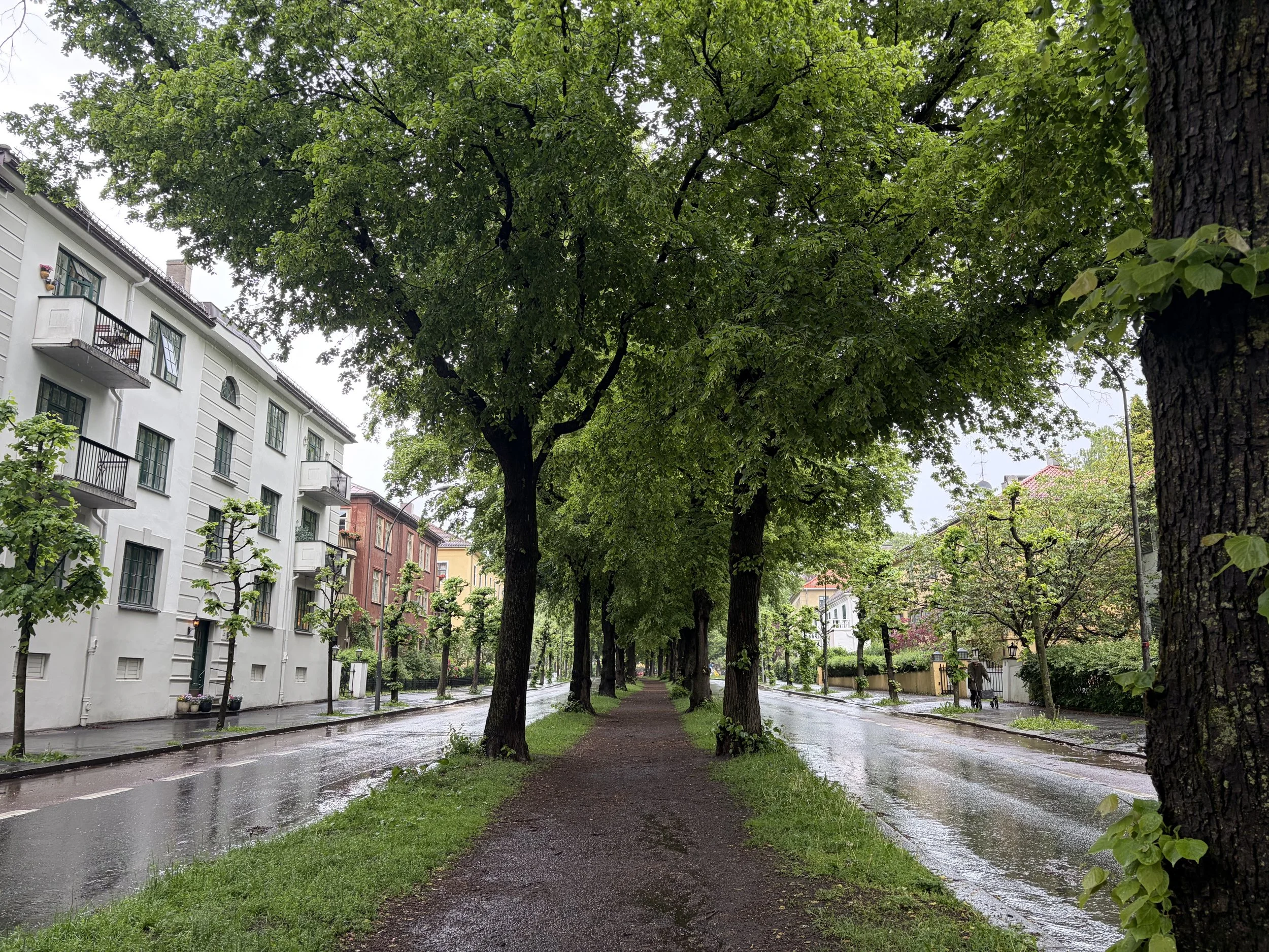Frogner area