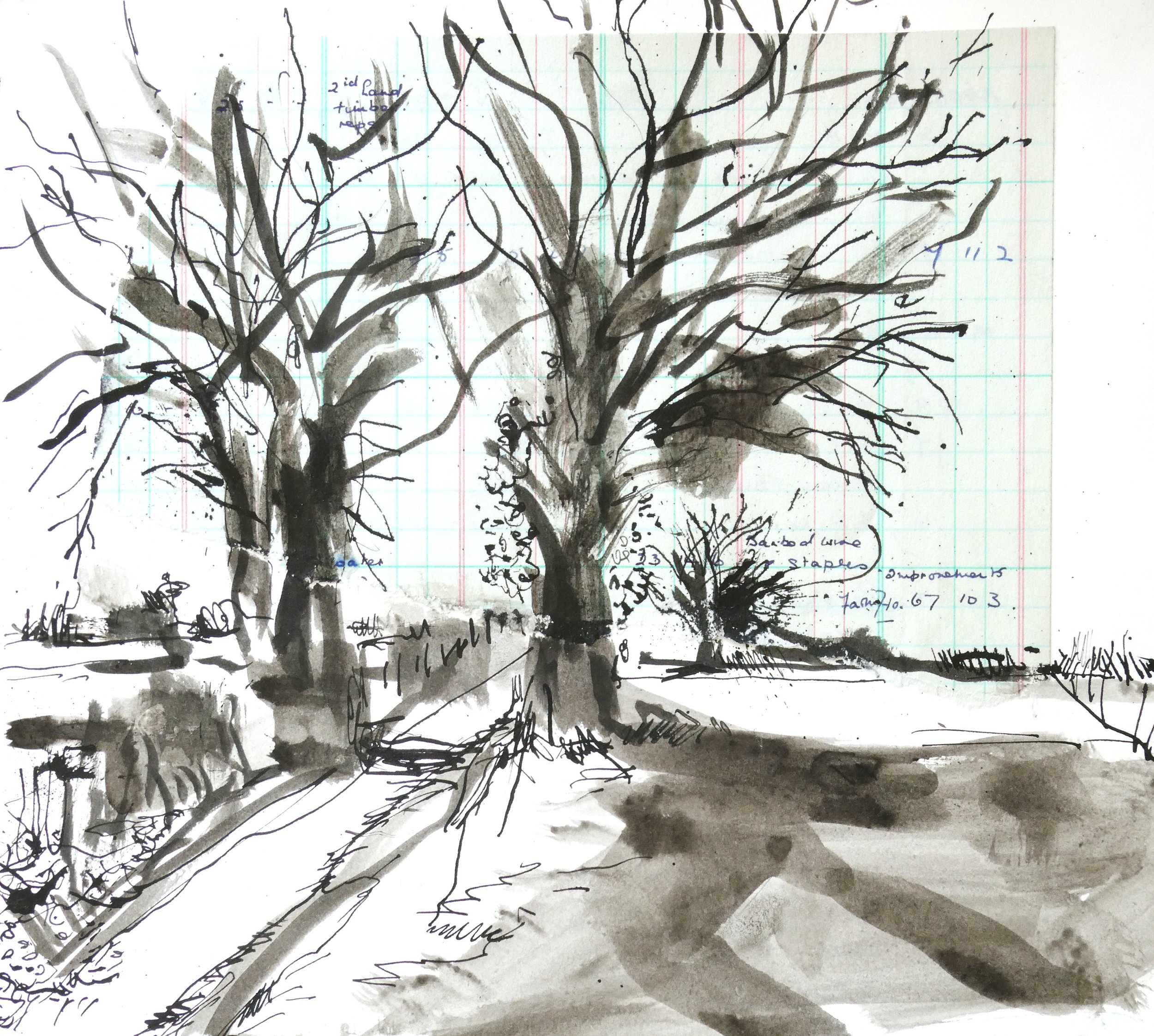 Black ink drawing of a large tree with many branches on a lined paper background.