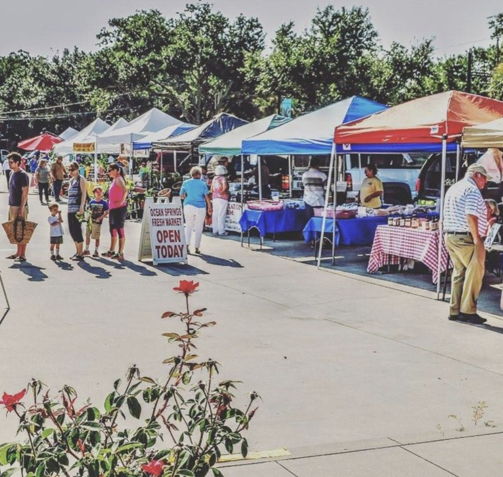 Saturday Fresh Market