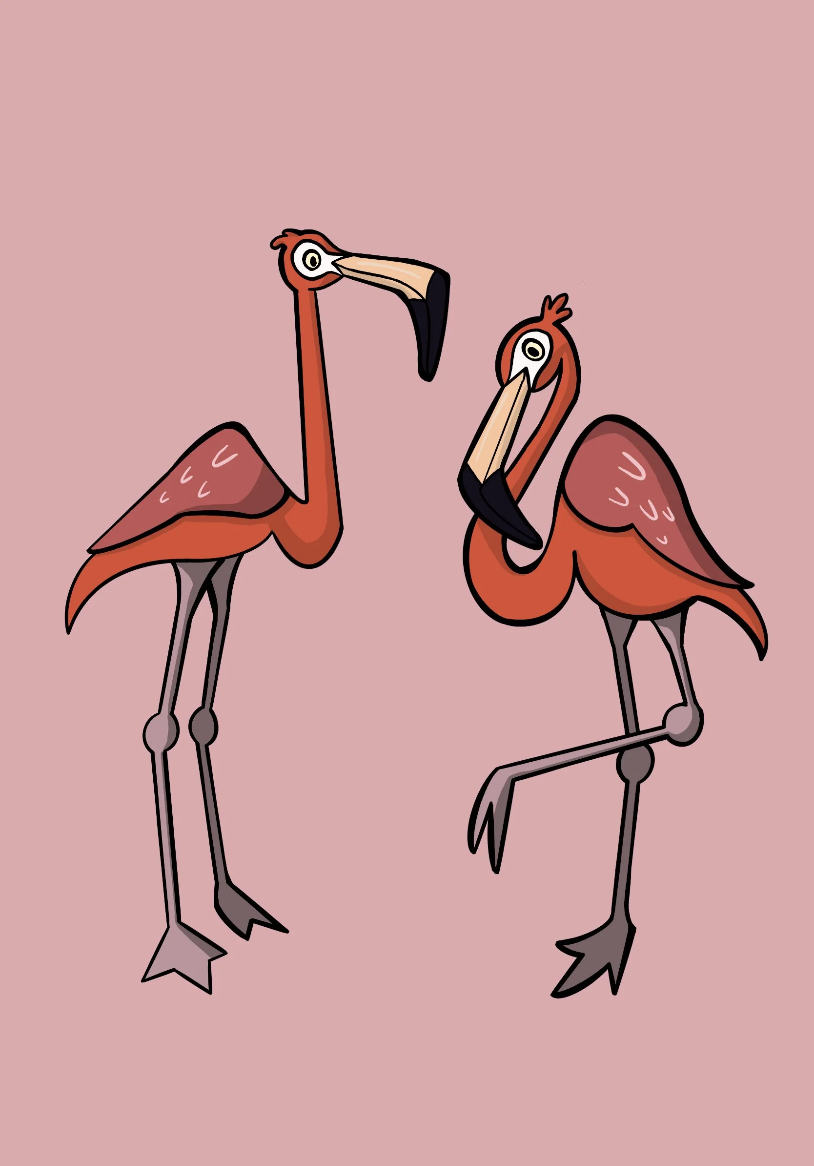Flamingos.jpg