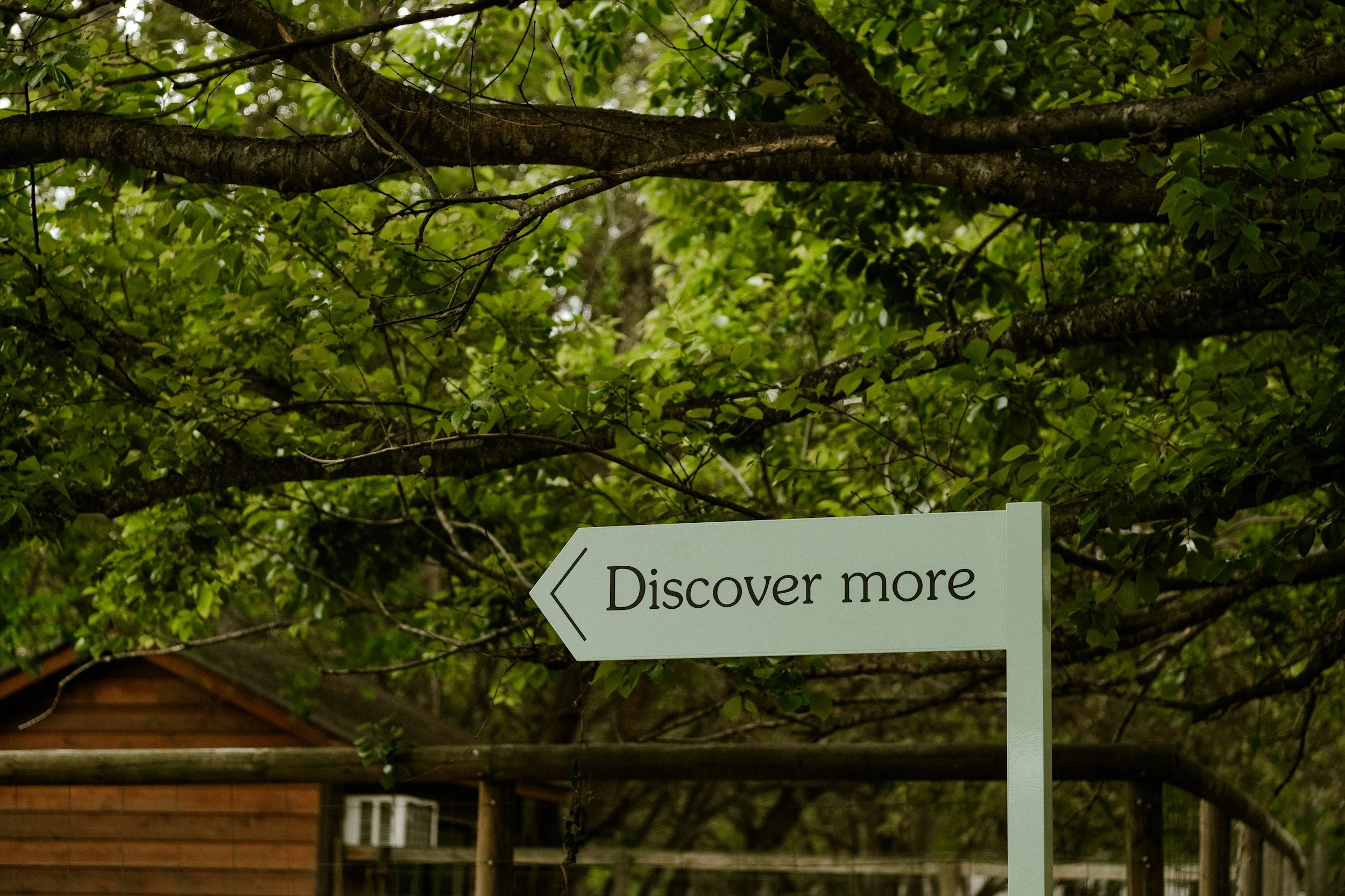 A white sign with the words 'Discover more' and a left-pointing arrow, situated outdoors among green dense tree leaves and branches, with a house and another structure partially visible in the background.