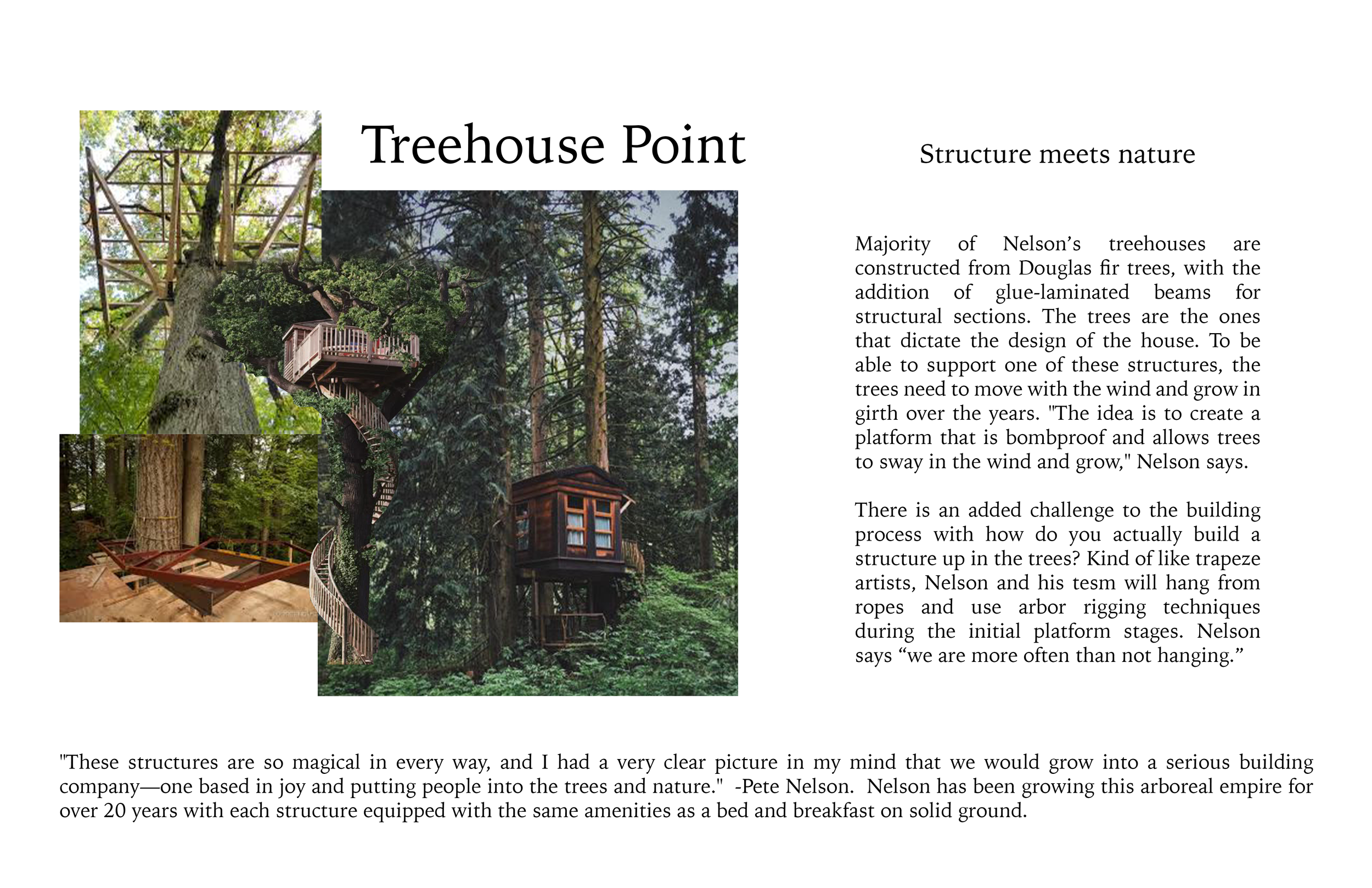 Canopy Treehouse Point research board.png