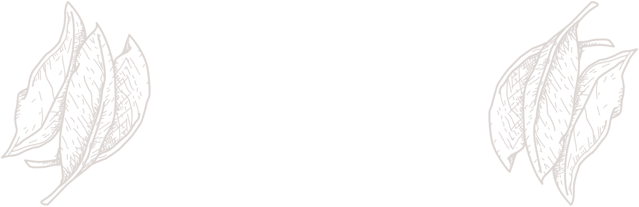 Decorative illustration of two brown outlined leaves with detailed vein patterns, one on the left and one on the right.