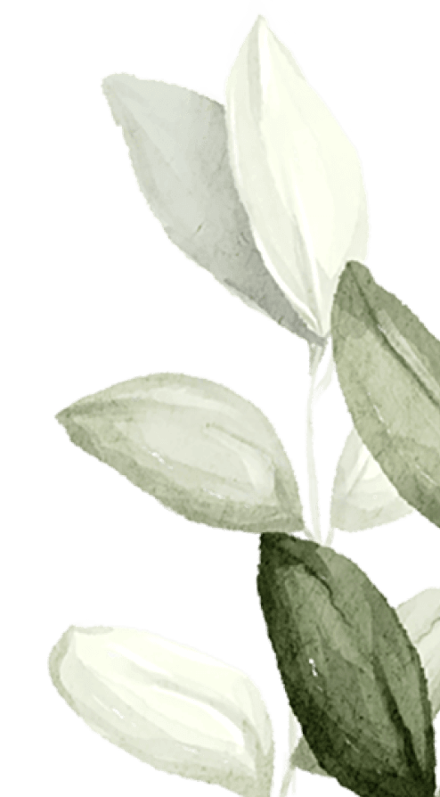 Watercolor illustration of light and dark green leaves against a black background.