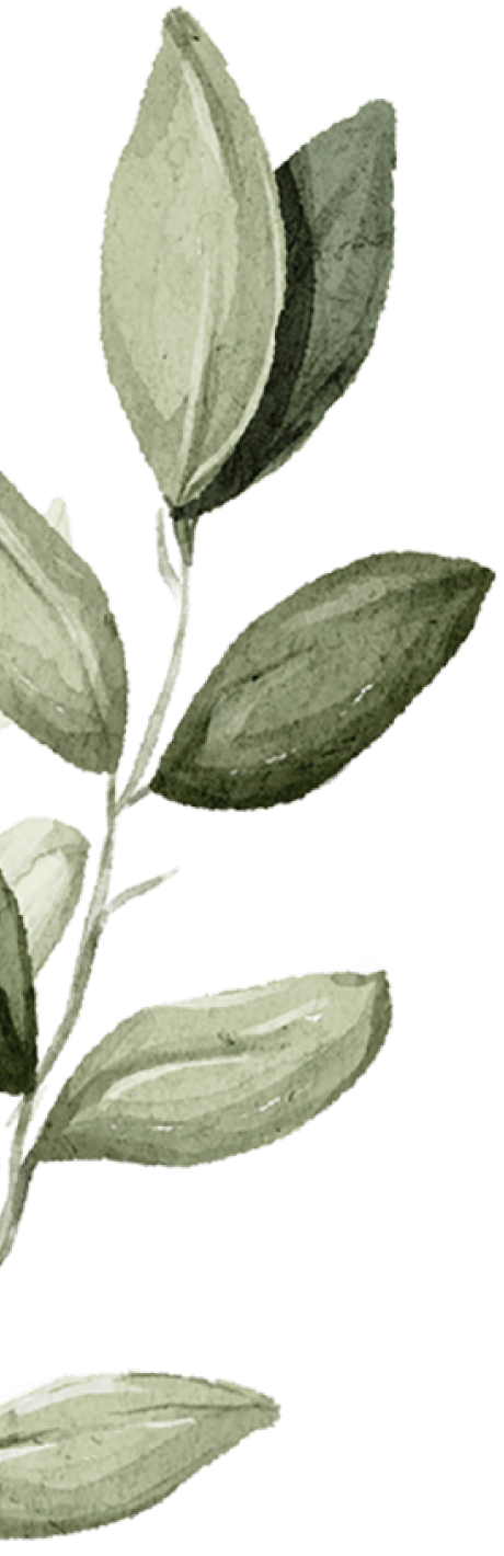 A digital illustration of a branch with green leaves, watercolor style, on a black background.