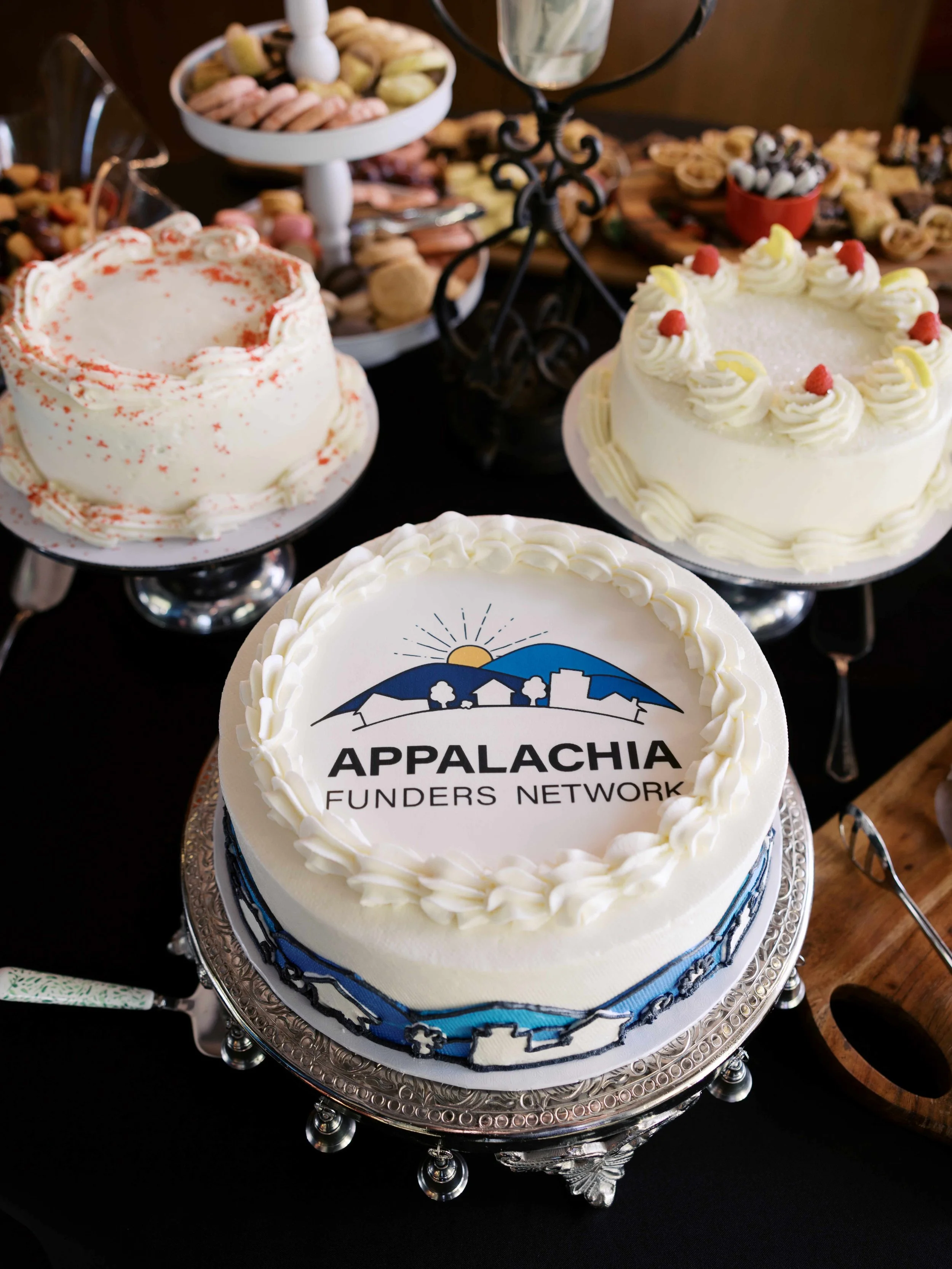 Applachian-Funders-Network-2025-Gathering-Danielle-Defayette-Photography-41.jpg