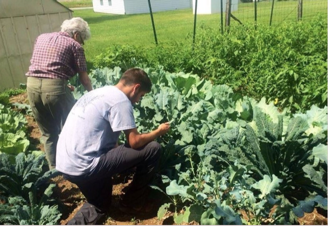 Food &amp; Agricultural Systems Group Creates Investment Road Map to Advancing a Regional Approach for a Resilient Appalachia