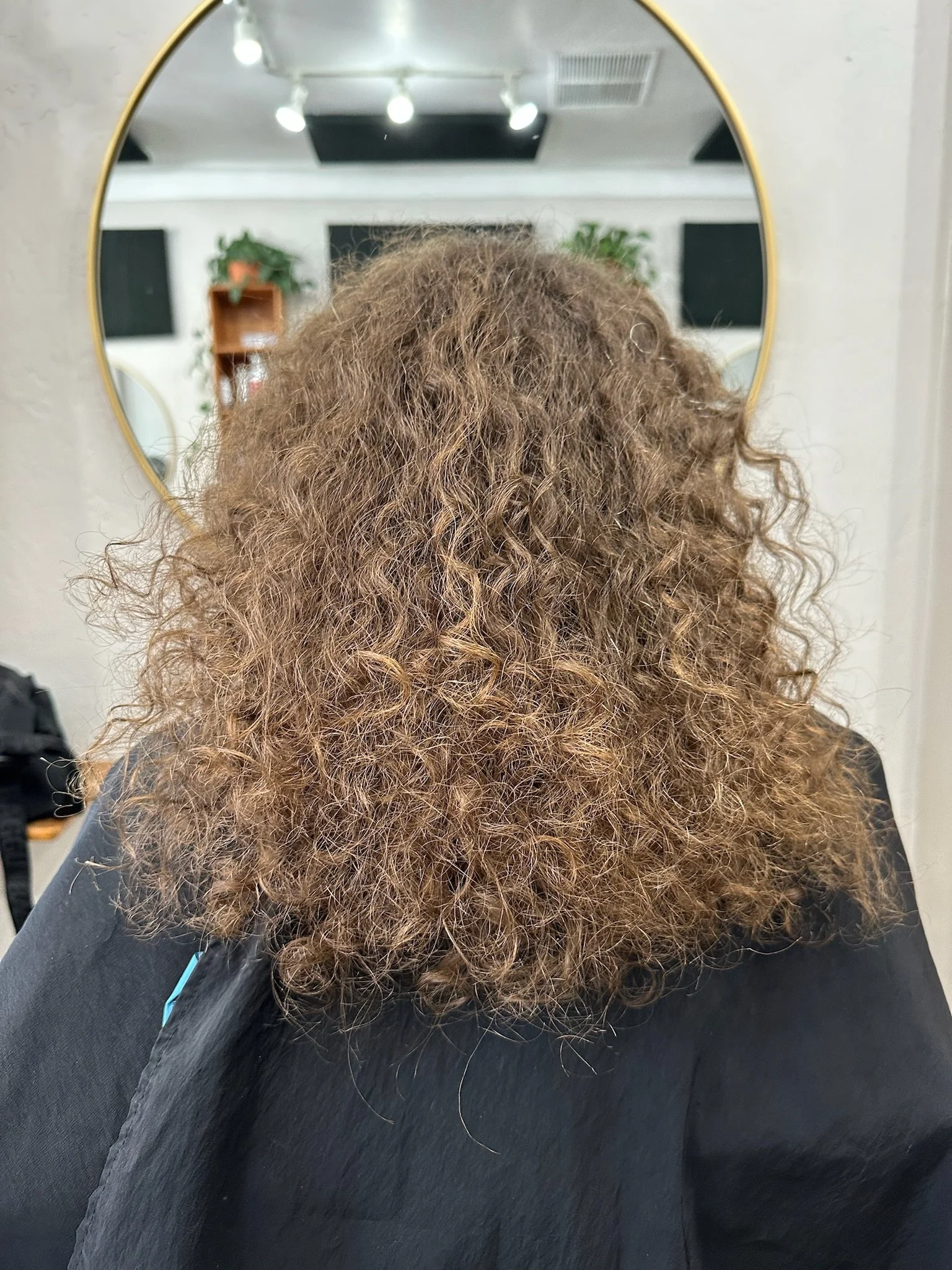 Roots Salon ABQ Before:After 1.jpg