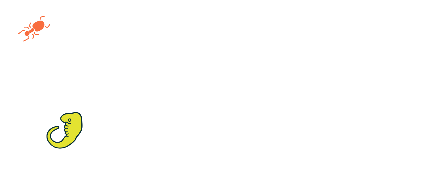 Abouheif Lab