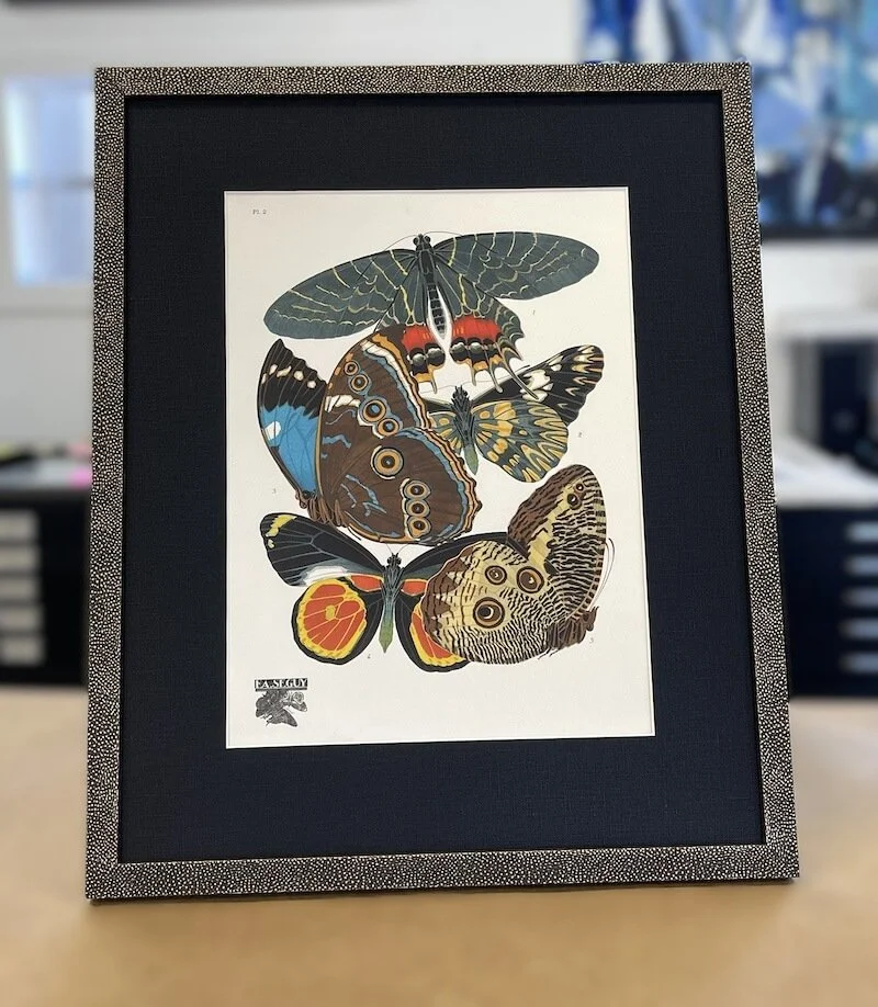 Framed artwork of various colorful butterflies on display.