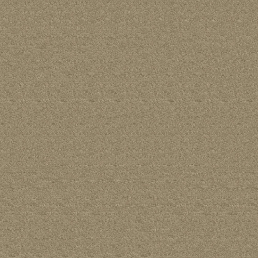 291-1256 Papyrus