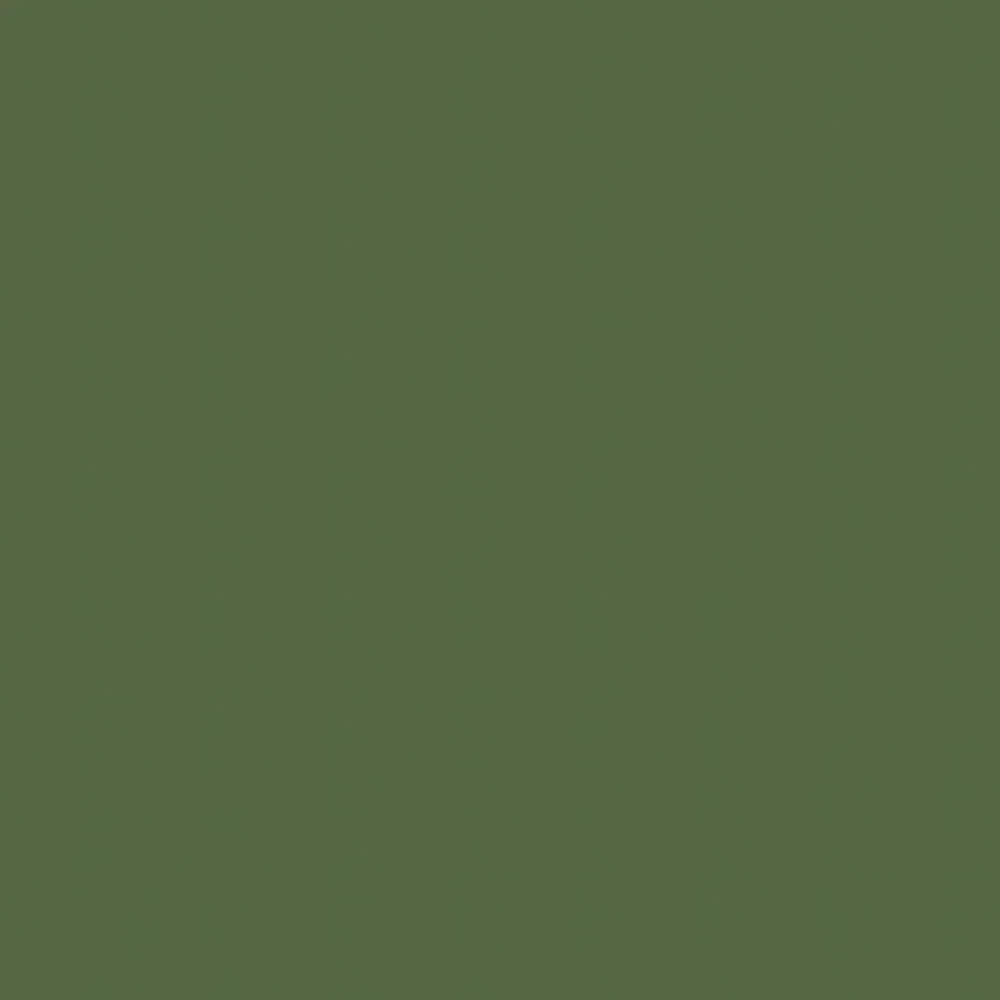 529 Olive Green