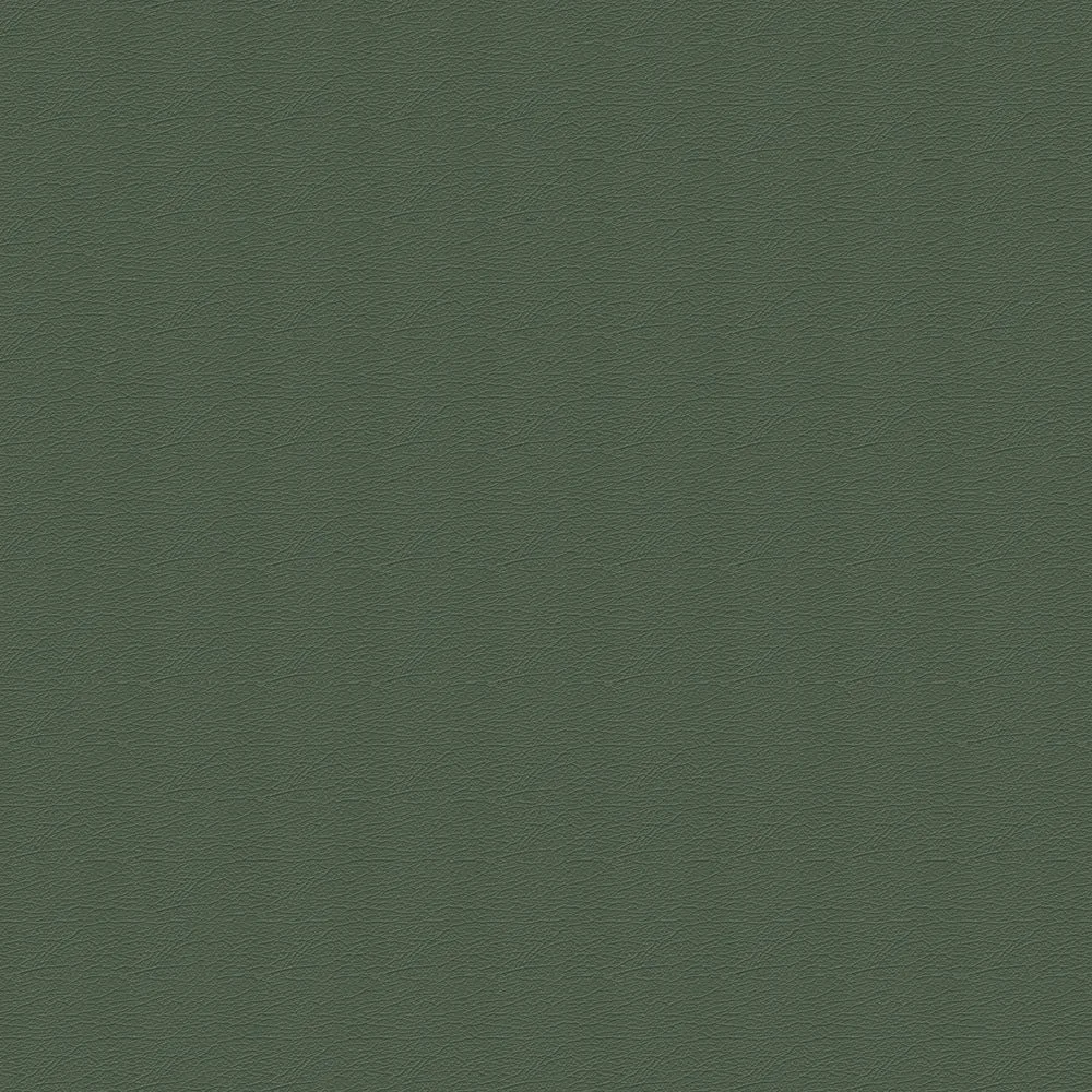 291-4351 Shetland