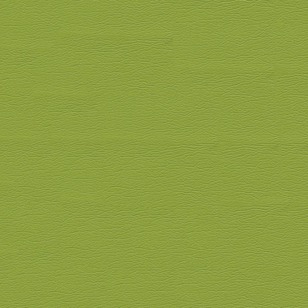 291-4460 Parrot