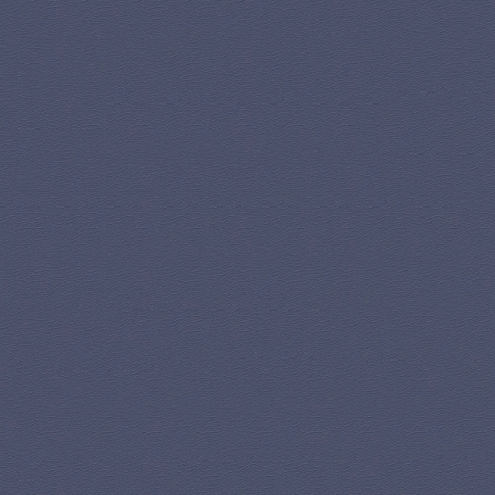 291-25851 Baltic