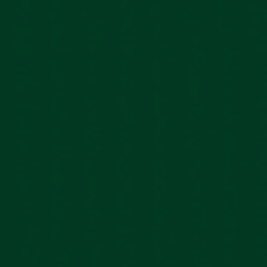 344 Forest