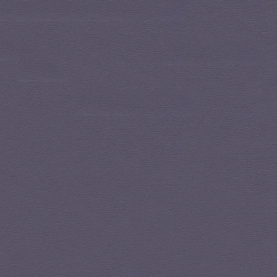 291-9385 Plum
