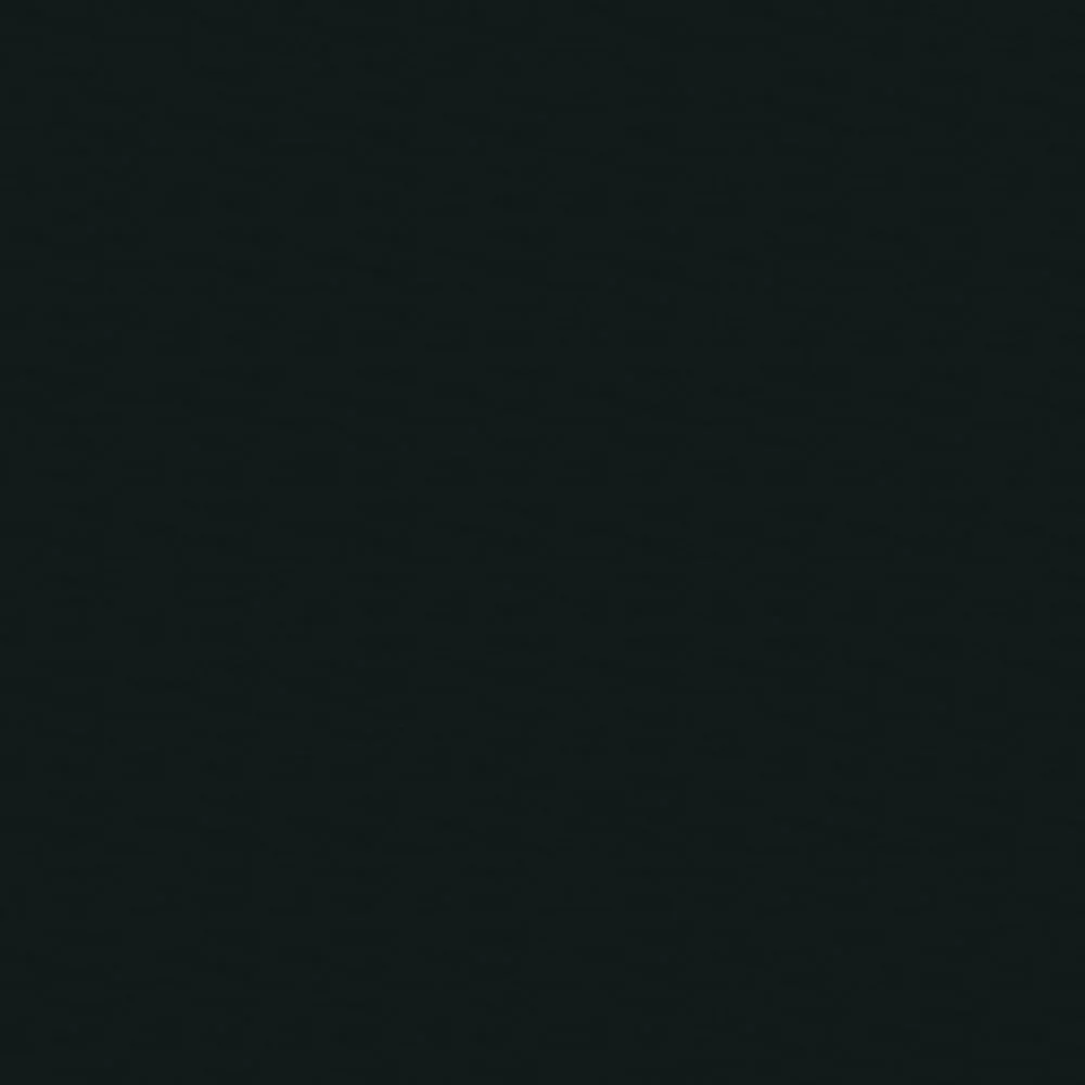 393 Black