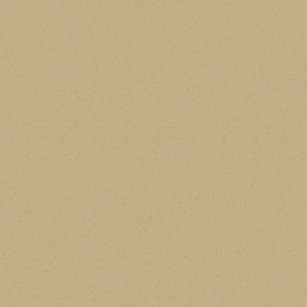 291-3850 Sand