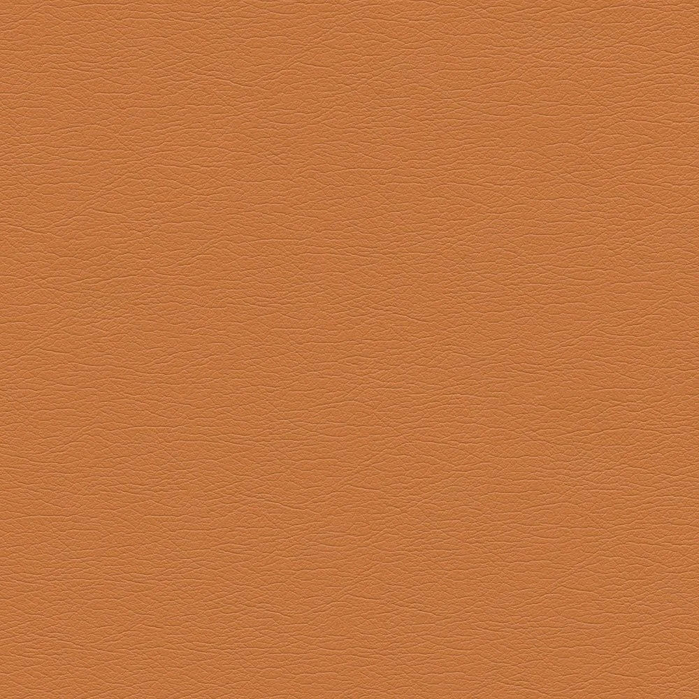 291-8243 Apricot